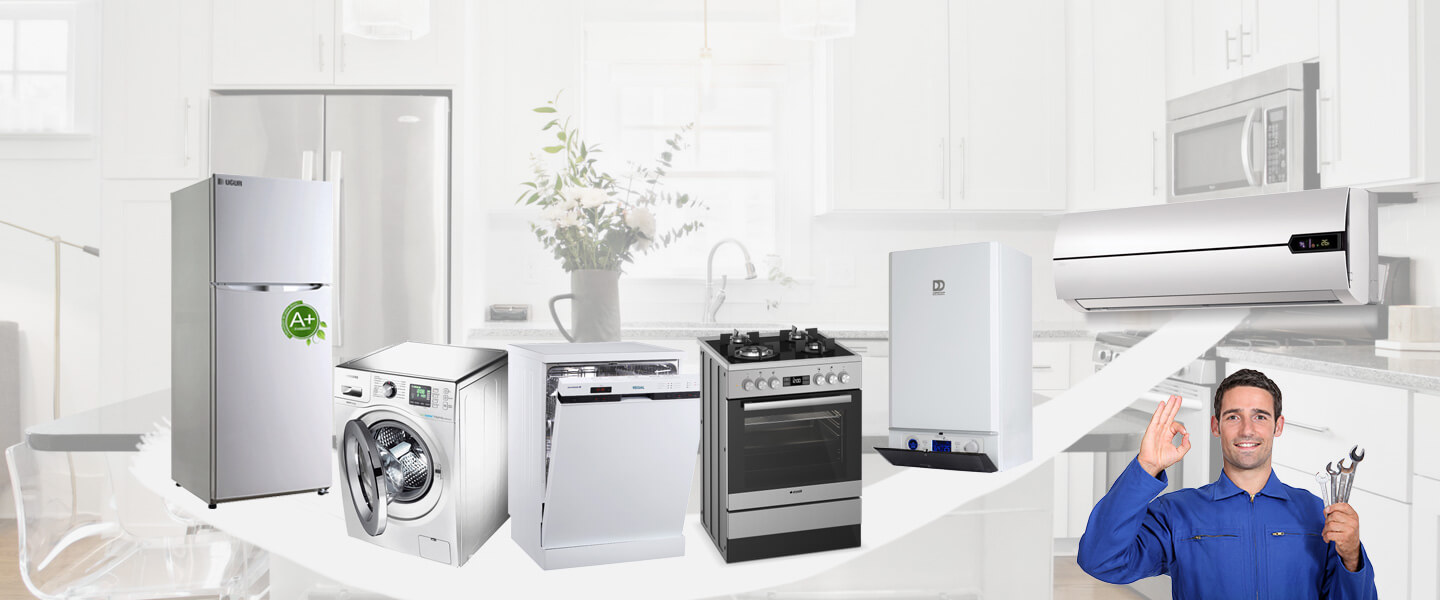 Derbent Dominox Servisi